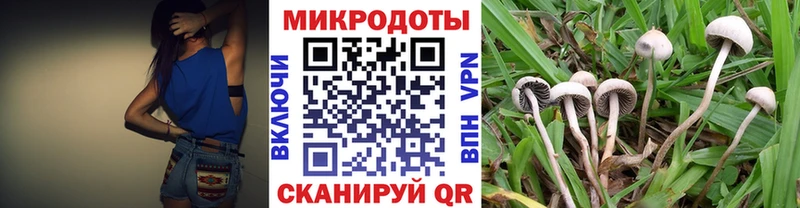 наркотики  MEGA рабочий сайт  Галлюциногенные грибы мицелий  Райчихинск 